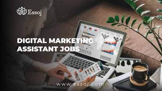 Digital Marketing Assistant Jobs