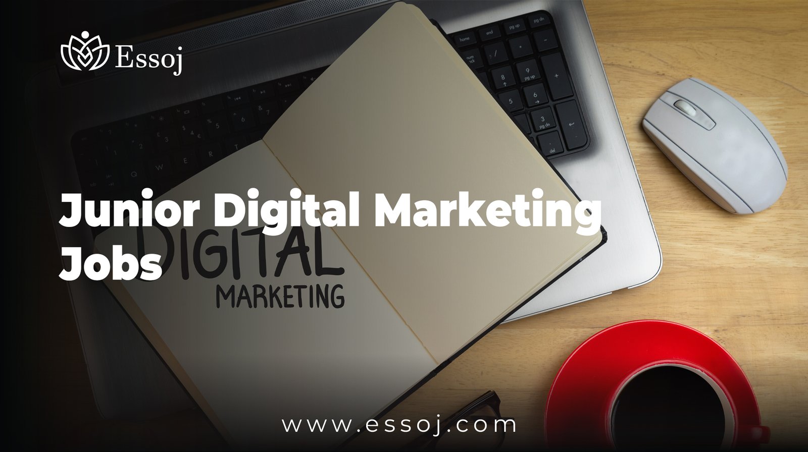 Junior Digital Marketing Jobs