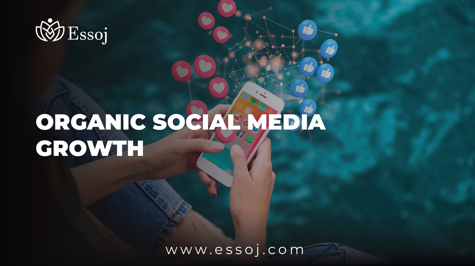 Organic Social Media Growth