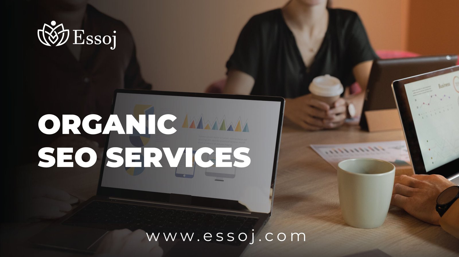 Organic SEO Services 2025 Grow Your Website Brands Boosting